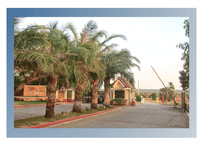 Kelbin-Jayrosmae bg4